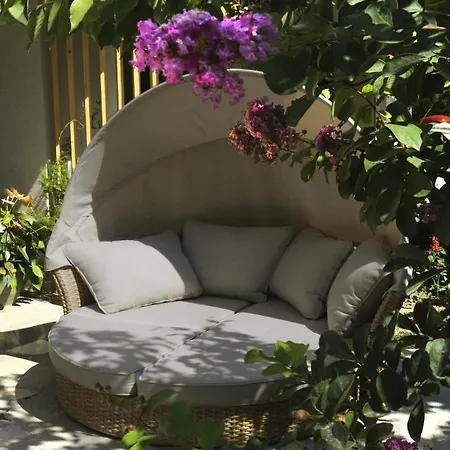 Luxury Jasmin 招待所 5*